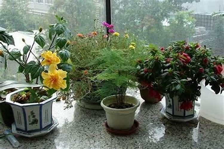 房子风水可以转运吗