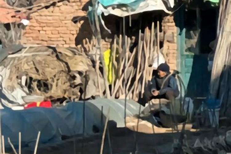 天机十二宫是哪十二宫