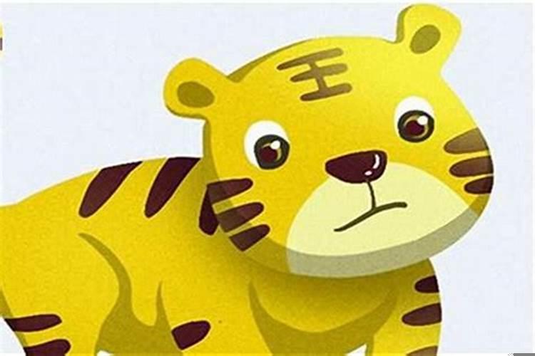 属虎的的年龄
