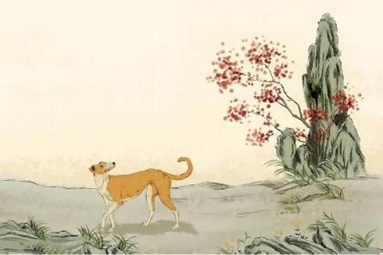 94年属狗女的姻缘在哪年