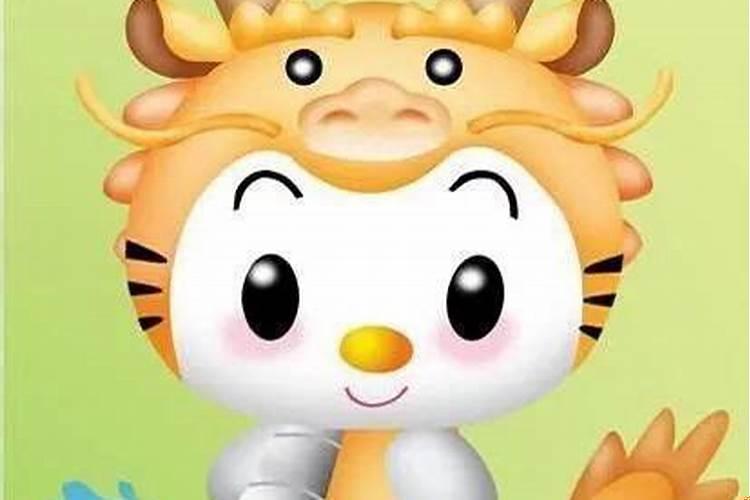 属兔和属龙结婚了怎么办