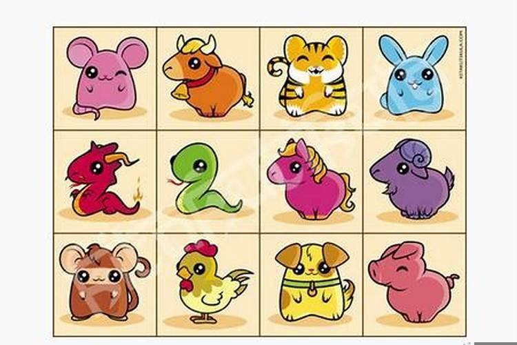 2025年是生肖什么年