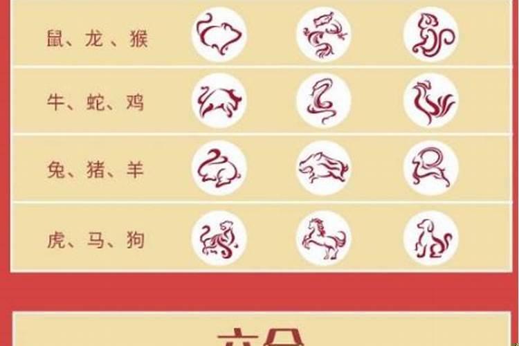 属相三合好还是6合好