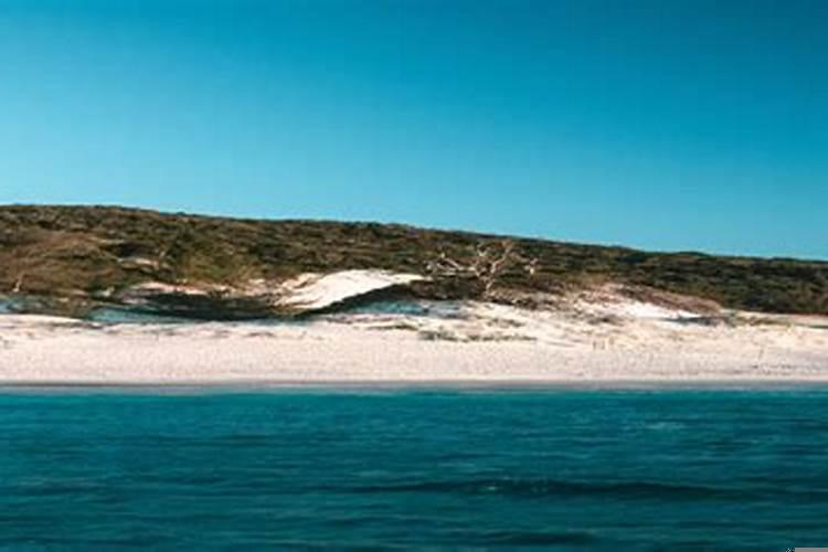 1988年属龙的婚姻怎样