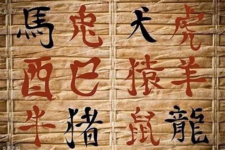 什么八字适合学命理