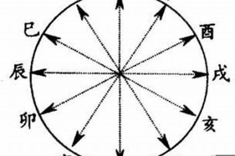 相称是什么意思