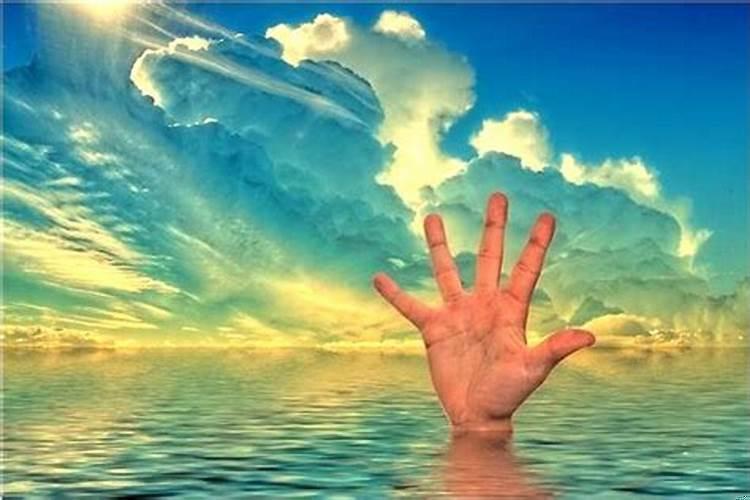 梦到把金鱼吃了