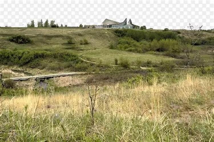 梦见田地荒芜是什么意思