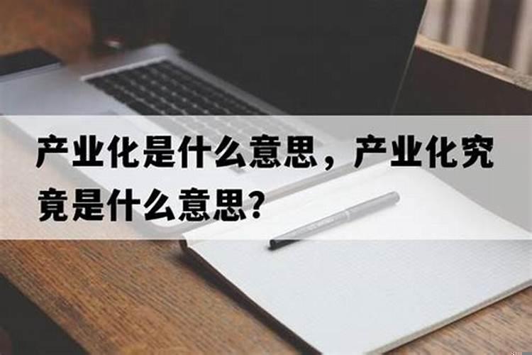 现在社会怎么白手起家