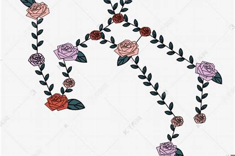 在爱情中属于付出型的星座有哪些女生