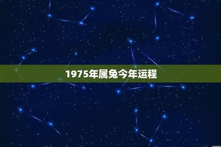 1975年出生今年运程