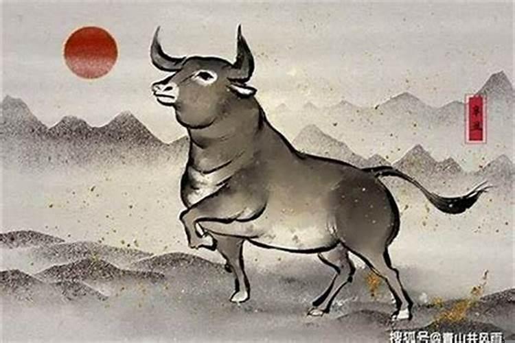 属相牛几月出生不好