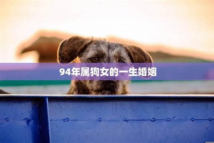 94年属狗女的姻缘在哪年