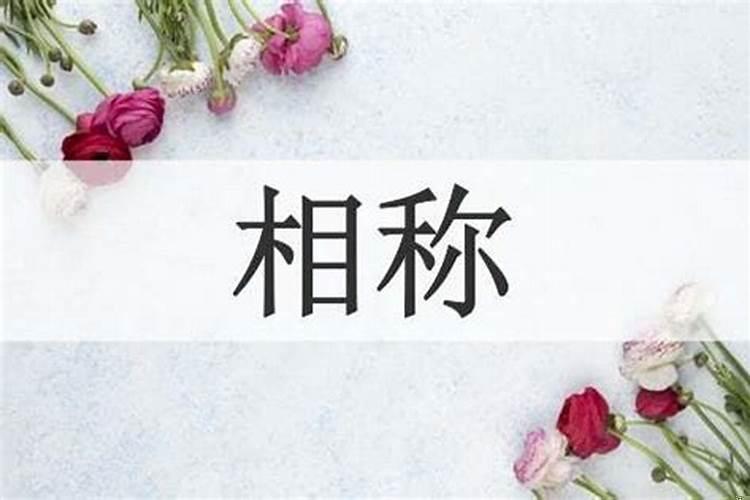 相称是什么意思