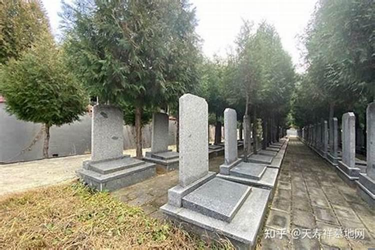 看墓地需要家人的生辰八字吗