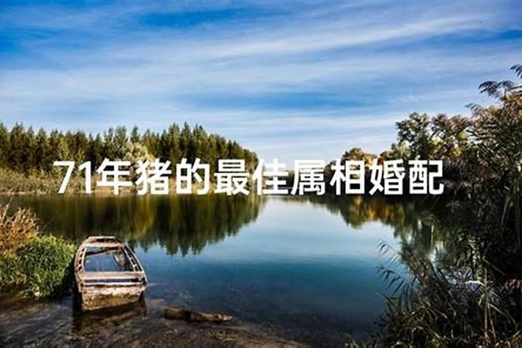 1971年属猪最佳婚配
