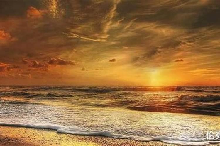 圆滑心机深谋略深的星座