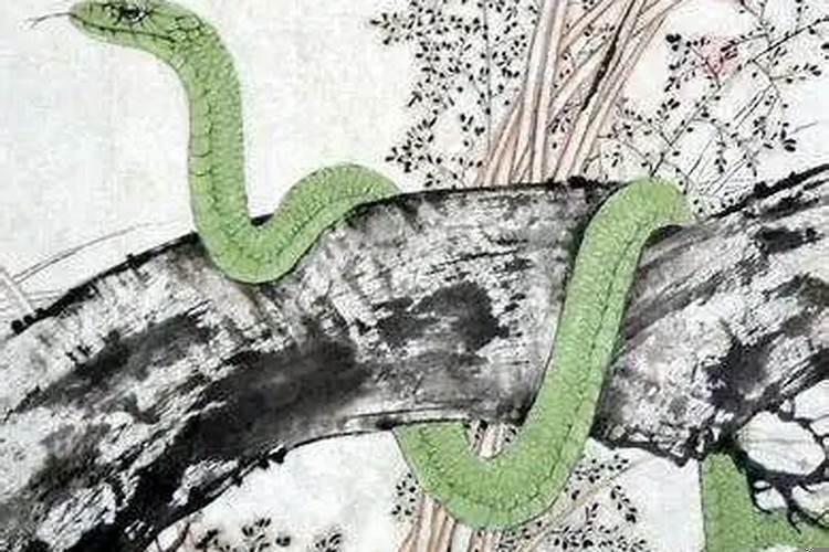 1977年属蛇45岁走大运