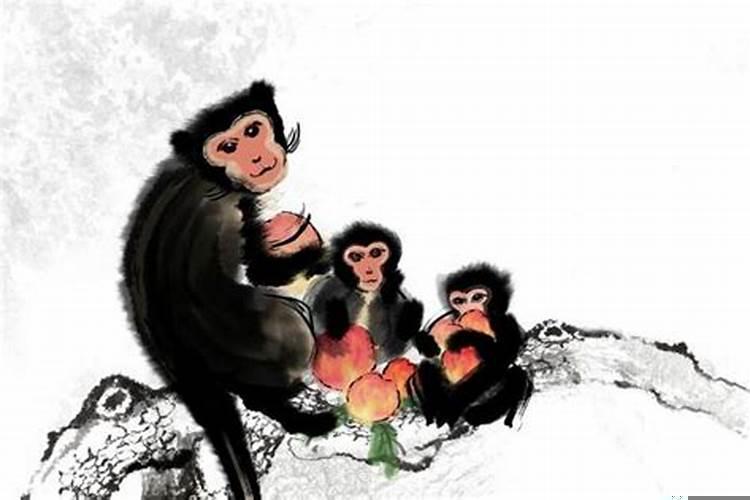 生肖属猴一生运势详解