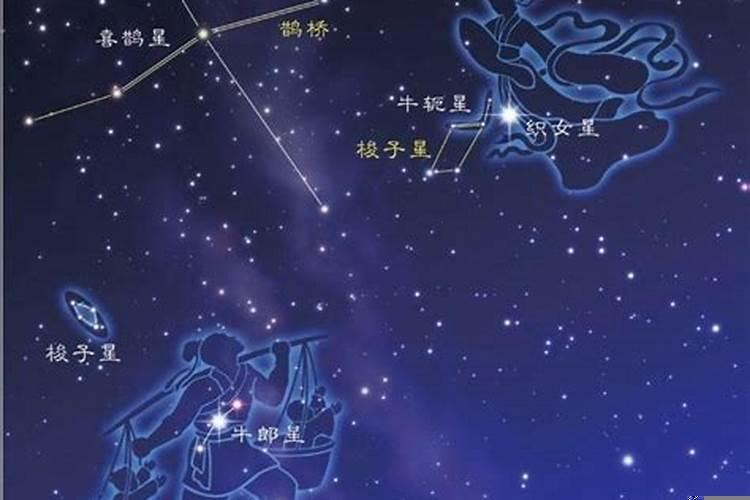 牛郎星和织女星和哪个星星