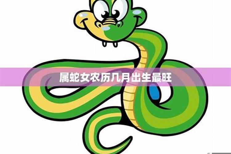 属蛇最忌几月出生