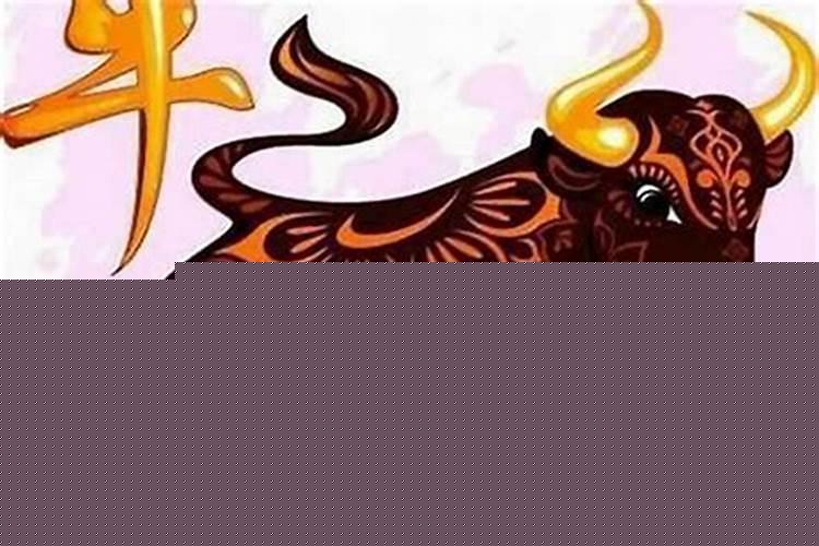 属牛本命年结婚好吗?