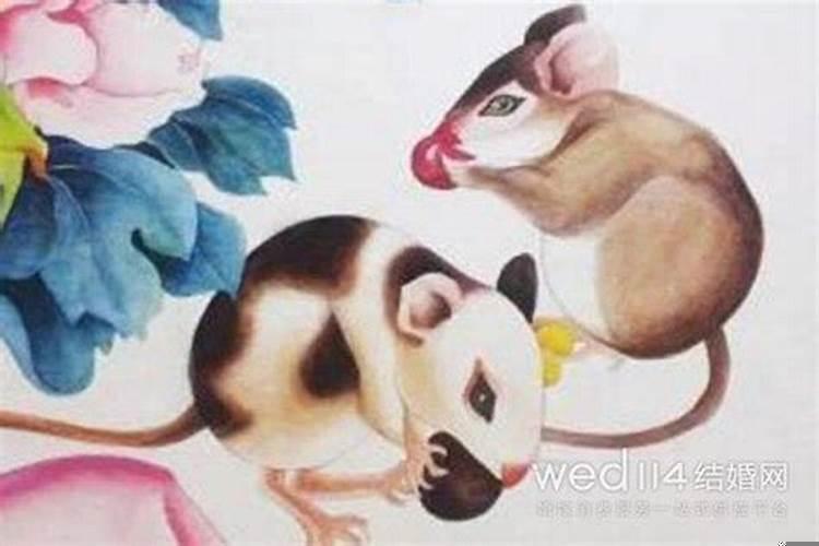 96年属鼠可以在本命年结婚吗