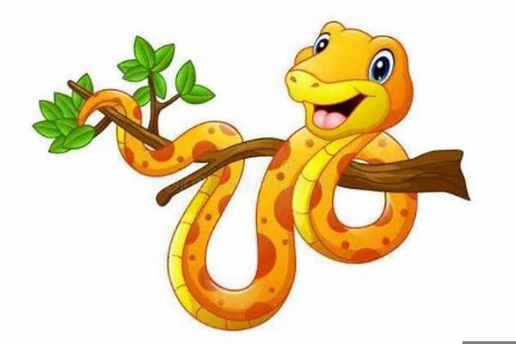 属虎的姻缘在哪个方向