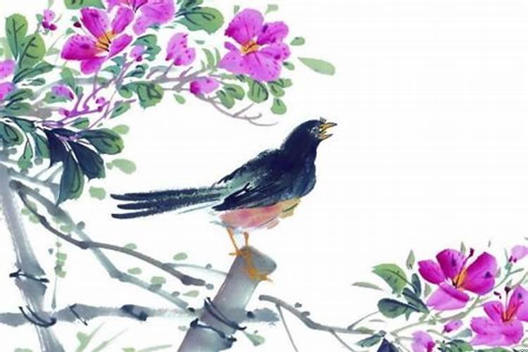 五行属水的女人缺什么