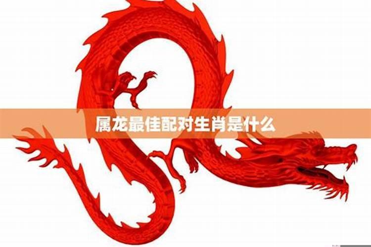 十二生肖龙和什么最配对