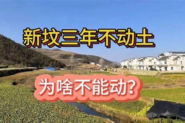 新坟3年不可以动土