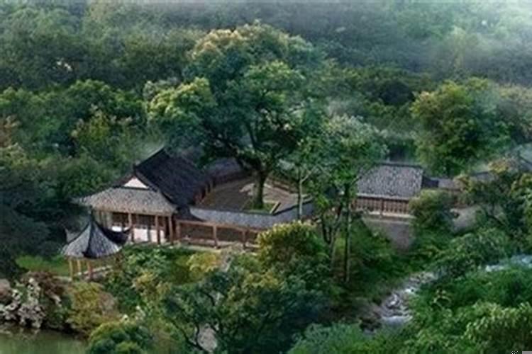 农村屋前种什么树最旺风水