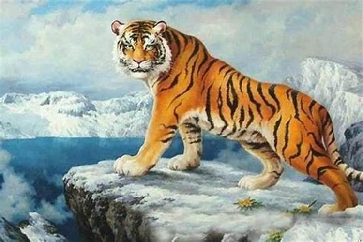 属虎的2022年每月运势及运程