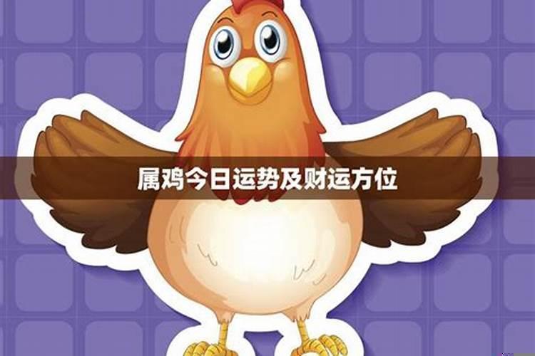 属鸡人今天财运哪方