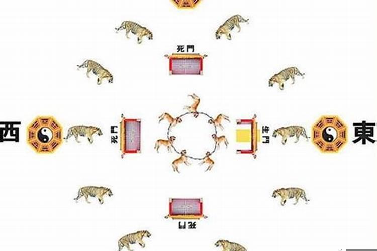 算命天干地支怎么看