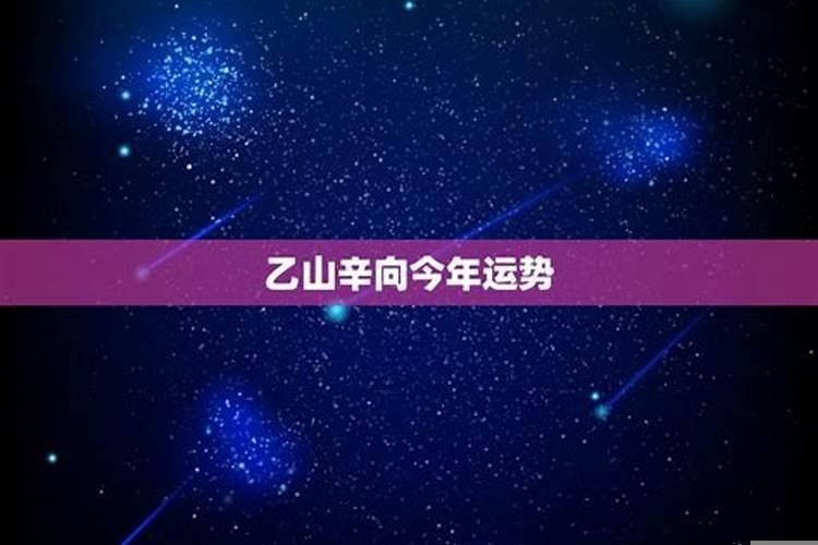 丁卯兔年五行属什么