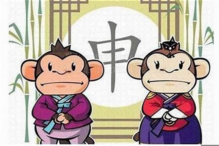 2004年属猴的婚姻相配