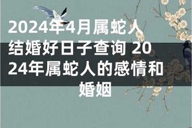 属兔和属蛇2021什么时候结婚