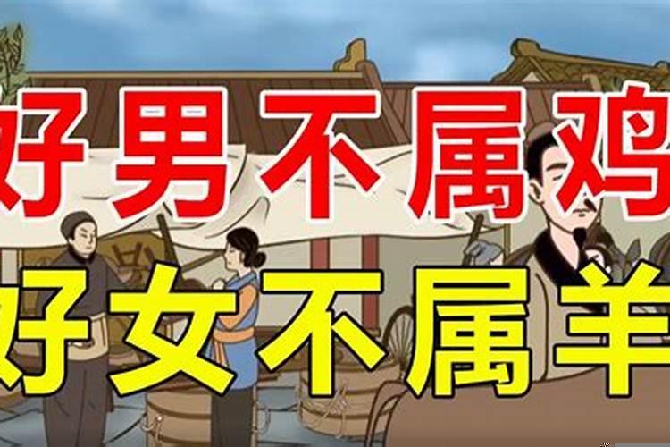 家里四个人都属鸡好吗