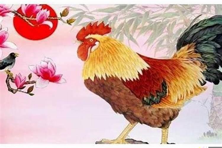 五七年出生的鸡是什么命