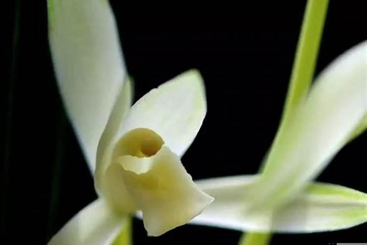 人33岁是不是诸多不顺