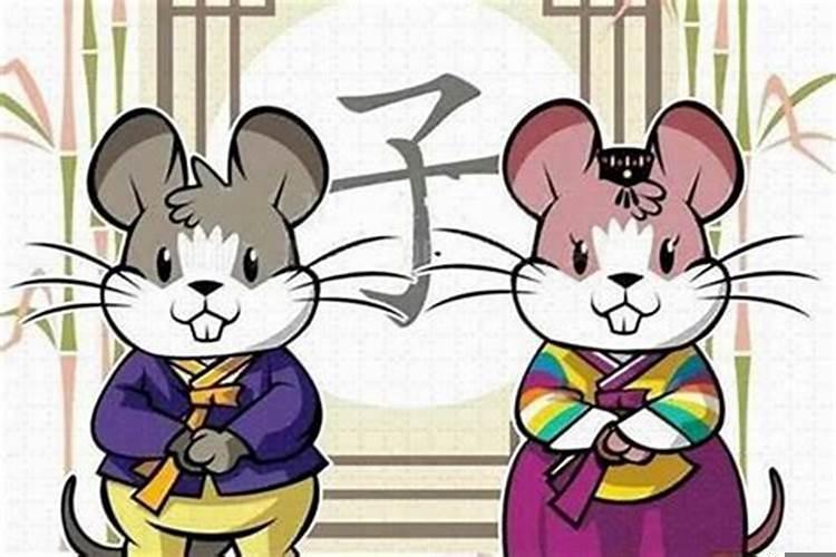 属鼠的与属鼠的婚配怎么样