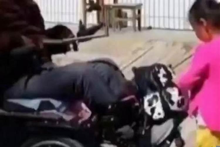 爸爸梦见女儿出车祸