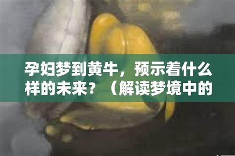 做梦梦见黄牛是什么意思