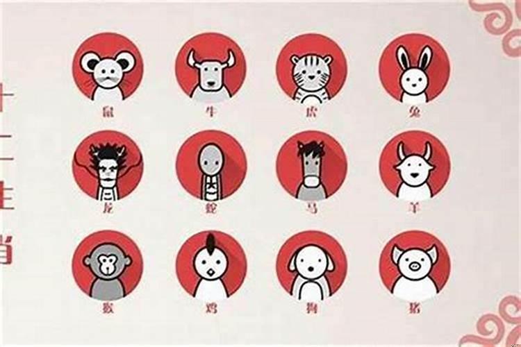 61年属牛女人的婚姻