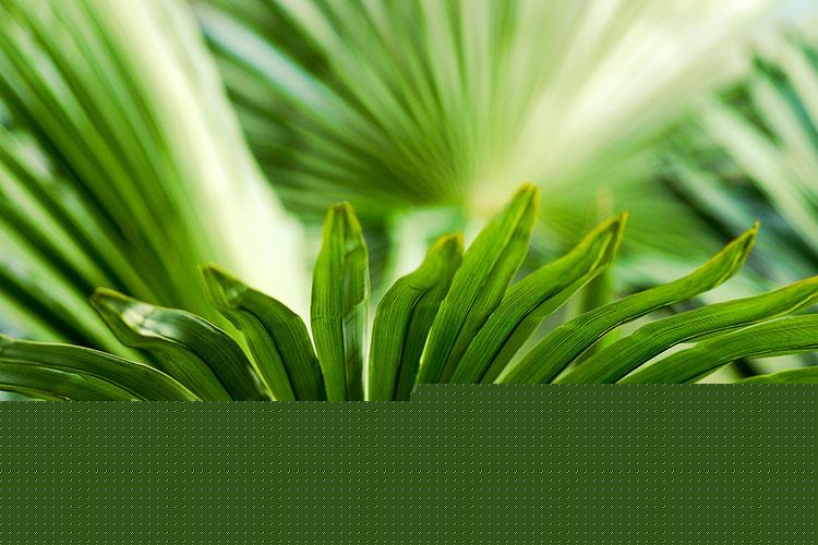 阴宅风水和阳宅风水的区别在哪里