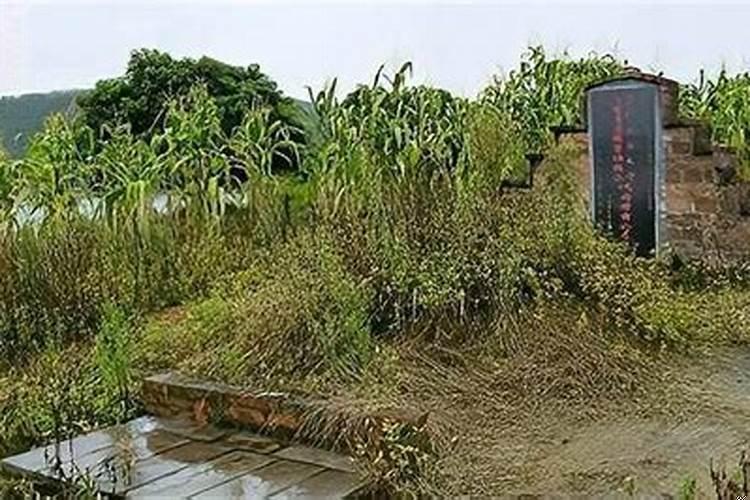 江苏农村平坟政策