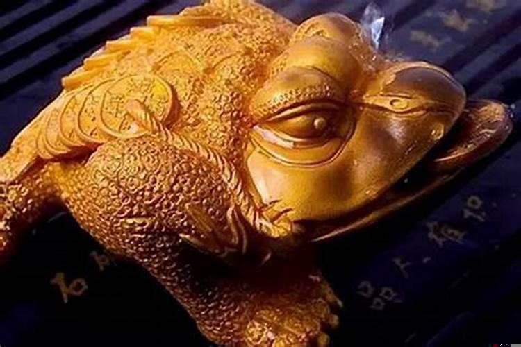 家里摆什么孩子金榜题名