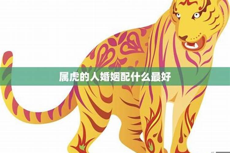 属虎的最佳配偶是什么