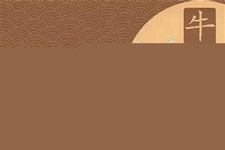 属牛男和牛女结婚好不